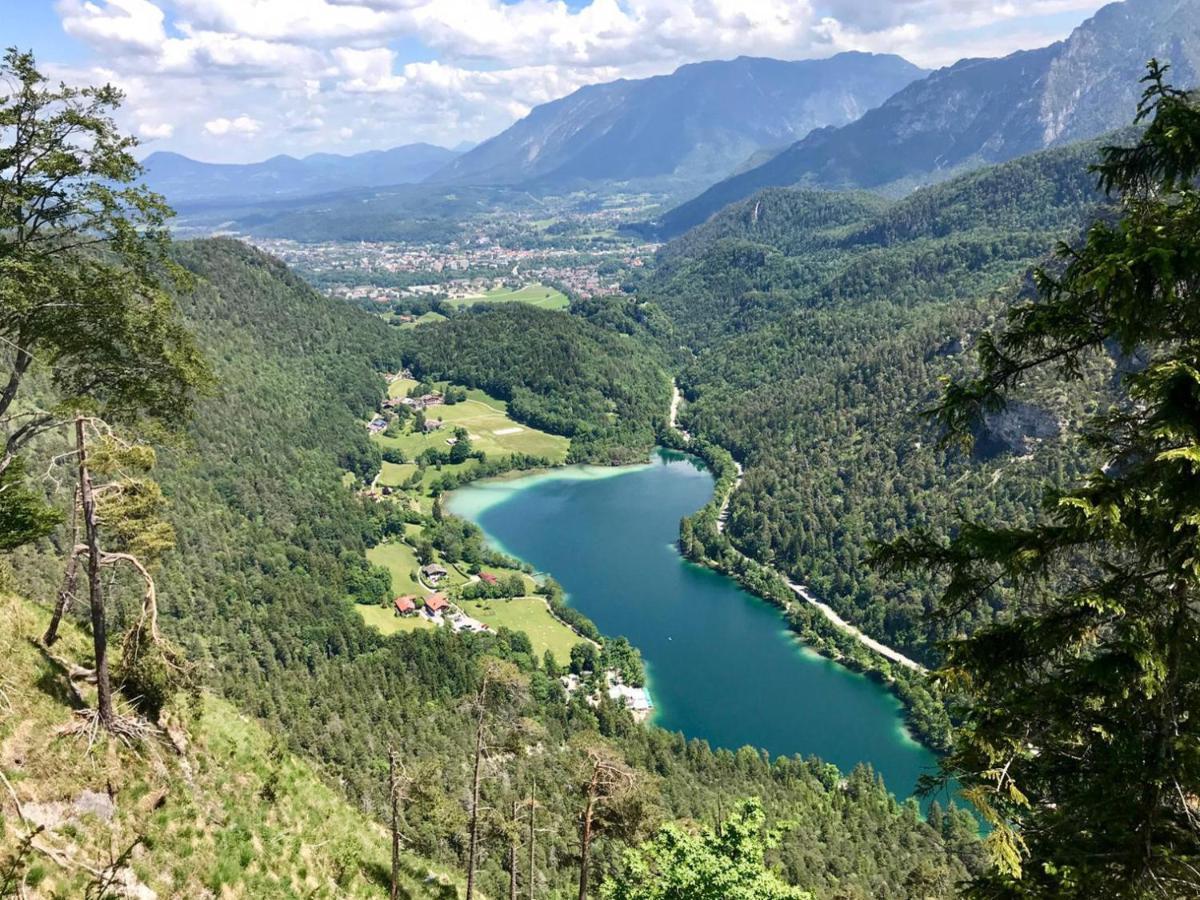 Ferienwohnung Gartenglueck Traunstein Bagian luar foto