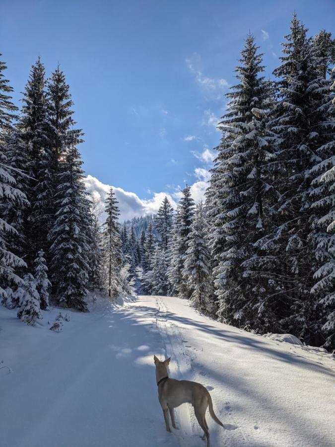 Ferienwohnung Gartenglueck Traunstein Bagian luar foto