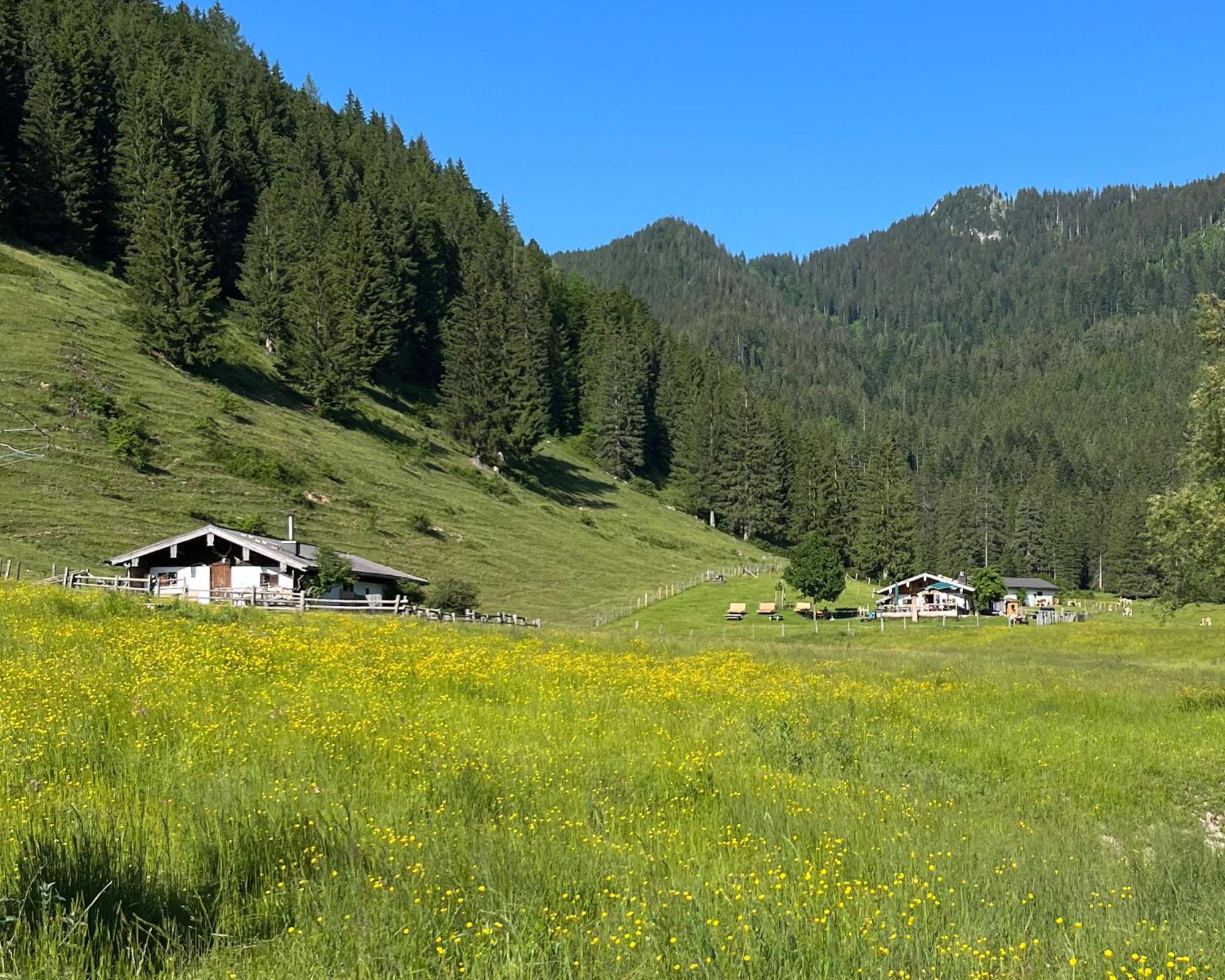 Ferienwohnung Gartenglueck Traunstein Bagian luar foto